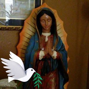 Meet your Posher, Dinora